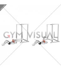 Band Lying Reverse Grip Pressdown