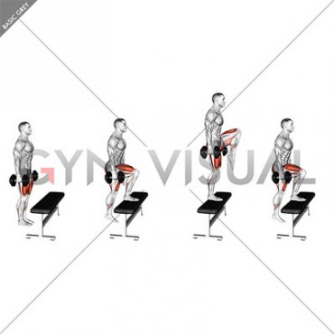 Dumbbell Step-up with Knee Raise