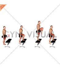 Dumbbell Step-up with Knee Raise