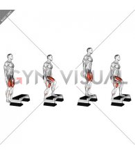 Bodyweight Step-up on Stepbox