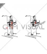 Captains Chair Straight Leg Raise (female)