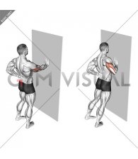 Single Arm Push-up Supported Wall