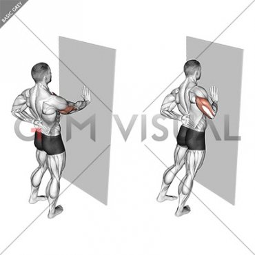 Single Arm Push-up Supported Wall