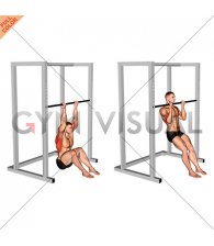 Chin-up (in squatting position)