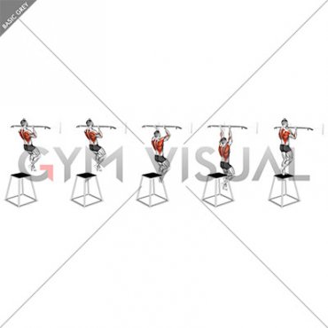 Chin-up (izometric and negative)