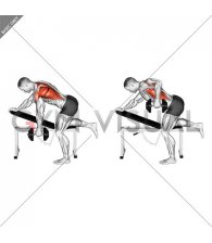 Dumbbell Bent over Single Arm Row (VERSION 2)