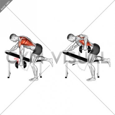 Dumbbell Bent over Single Arm Row (VERSION 2)