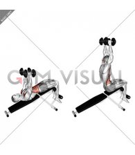 Dumbbell Decline Overhead Sit-up