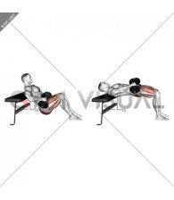 Dumbbell Hip Thrust