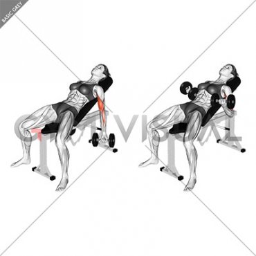 Dumbbell Incline Biceps Curl (VERSION 2) (female)