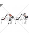 Dumbbell Incline Head Supported Row