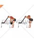 Dumbbell Incline Head Supported Row