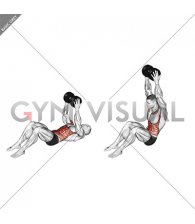 Dumbbell Overhead Sit-up