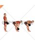 Dumbbell RDL and Bent over Row