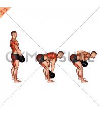 Dumbbell RDL and Bent over Row