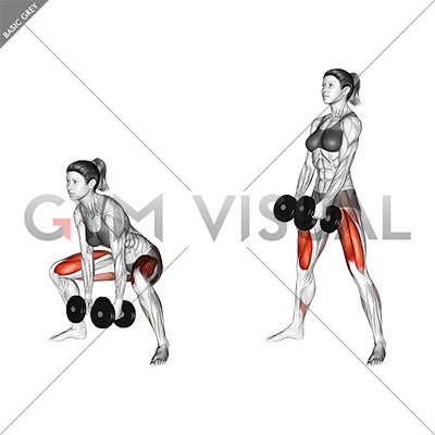 Barbell Sumo Deadlift (female)