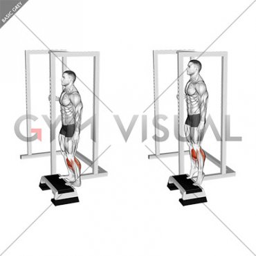 Elevated Standing Calf Raise