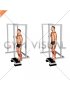 Elevated Standing Calf Raise