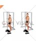 Elevated Standing Single Leg Calf Raise