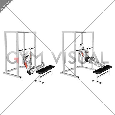 https://gymvisual.com/22299-thickbox_default/seated-pull-up-legs-elevated.jpg