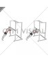 Triceps Press (high bar position)