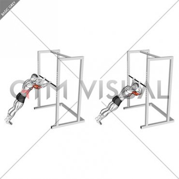 Triceps Press (high bar position)