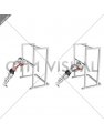 Triceps Press (high bar position)