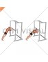 Triceps Press (high bar position)