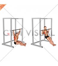 Wide Seated Pull-up