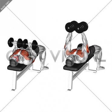 Dumbbell Reverse Grip Squeeze Bench Press