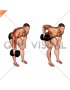 Dumbbell Single Arm Bent Over Row