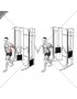 Cable Unilateral Bicep Curl