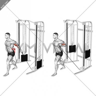 Cable Unilateral Bicep Curl