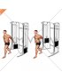 Cable Unilateral Bicep Curl