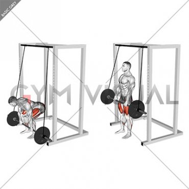 Barbell Band Assisted Deadlift