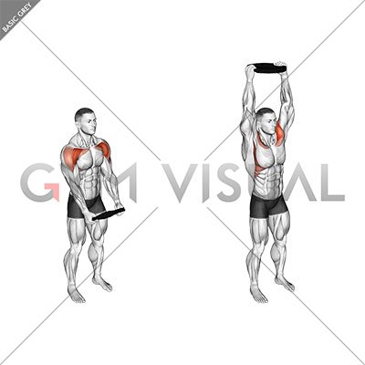 How to do Plate Front Raise