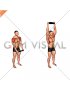 Weighted Plate Standing High Front Raise