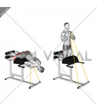 Banded Glute Ham Raise (VERSION 2)