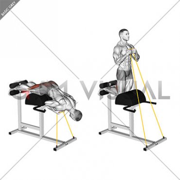 Banded Glute Ham Raise (VERSION 2)