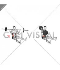 Barbell Sitting on Floor Oblique Twist