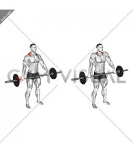 Barbell Standing Snatch Grip Shrug