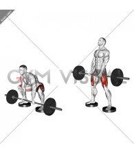 Barbell Sumo Deadlift from Deficit