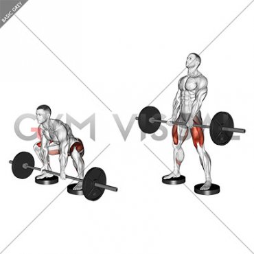 MuscleWiki - Barbell Sumo Deadlift - Glutes