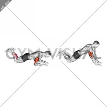 Kneeling Half Triceps Extension