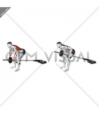 Lever Bent over Wide Row (plate loaded)