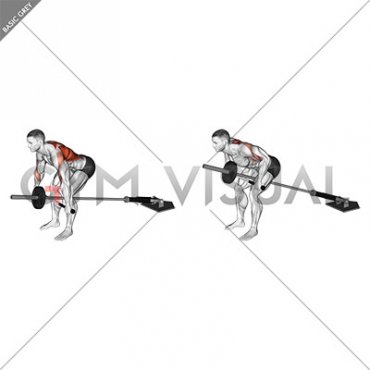 Lever Bent over Wide Row (plate loaded)
