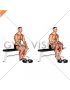 Elevated Seated Calf Raise