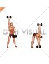 Dumbbell Standing Windmill