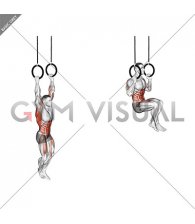 Leg Assisted Ring Pull-up