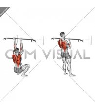 Assisted Chin-up (squat position)